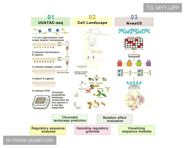 运动员选拔系统整合基因组AI 长远潜力预测模型落地